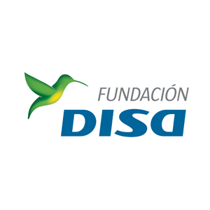 logo fundación Disa